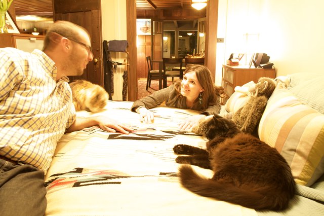 Couple Relaxing on Bed with Their Cats