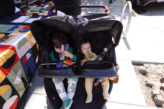 Adventures in Double Strollers