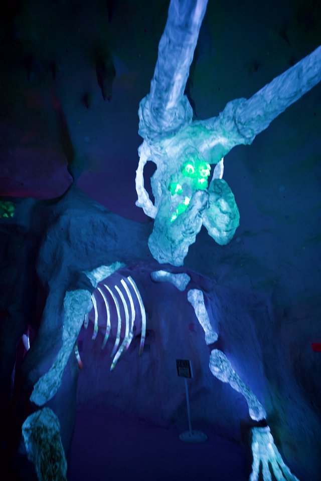 Illuminated Skeleton Display in Museum Exhibition