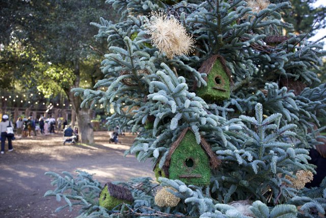Whimsical Winter Wonderland at Thistlewyck
