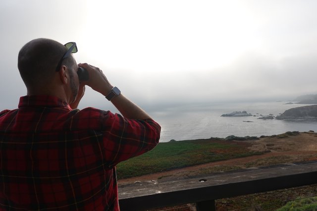 Coastal Observer with Binoculars Watching Ocean