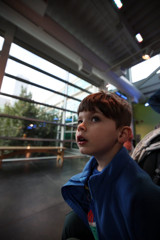 Young Boy Captivated by Wonders at Science Museum