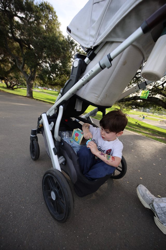Young Child Enjoying Stroller Ride in Park