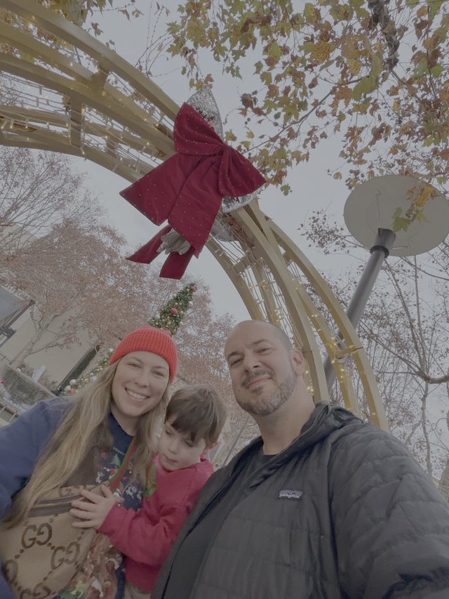 Family Christmas Selfie on Festive Ferris Wheel