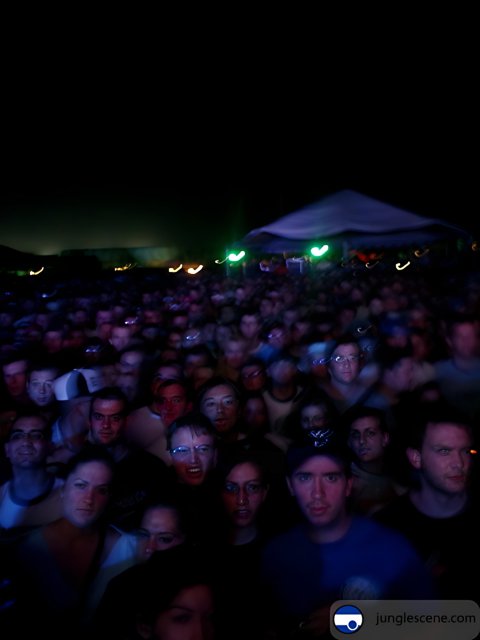 Night-time Crowd at Coachella Concert