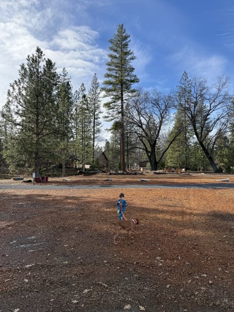 A Winter Stroll in Stanislaus