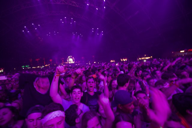 Purple Haze over the 2017 Coachella Crowd