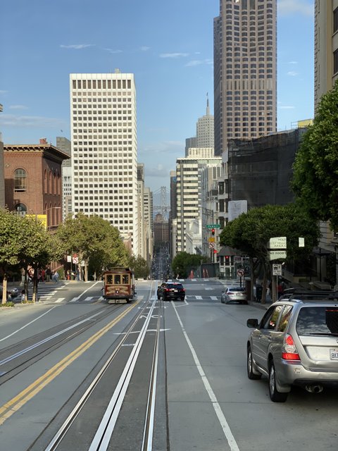 The Cityscape of San Francisco