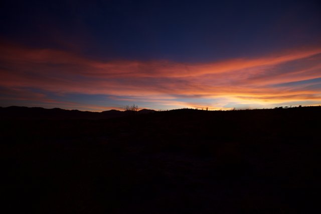 Desert Sky Spectacle