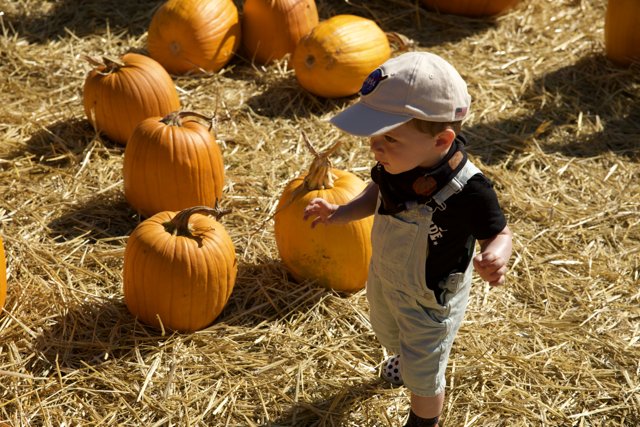 A Day in the Pumpkin Patch with Wesley