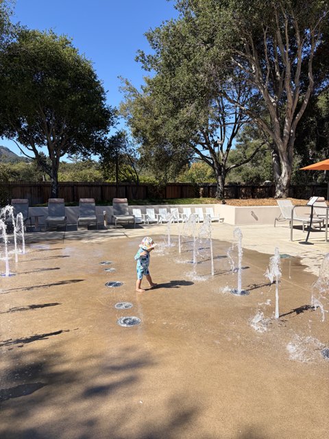 Splashing Through a Sunny Day in Carmel
