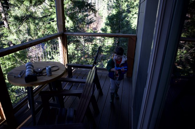 Young Photographer Exploring Mountain Forest Deck