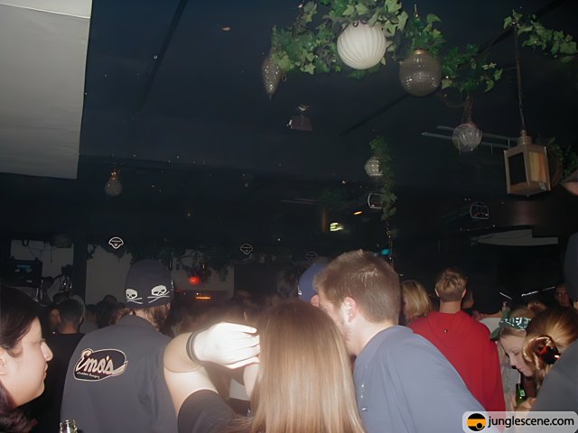 Nightclub Revellers Groove to the Beat of DJ