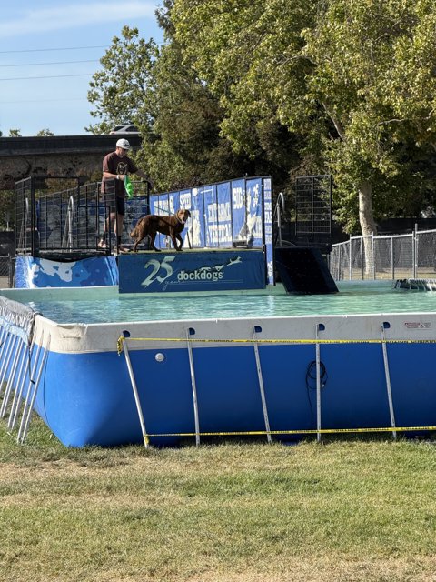 Splashing Into Action