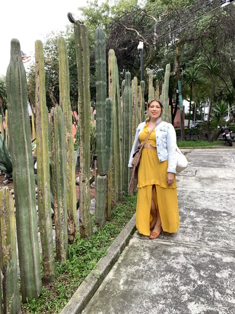 A Lady in Yellow among Cacti