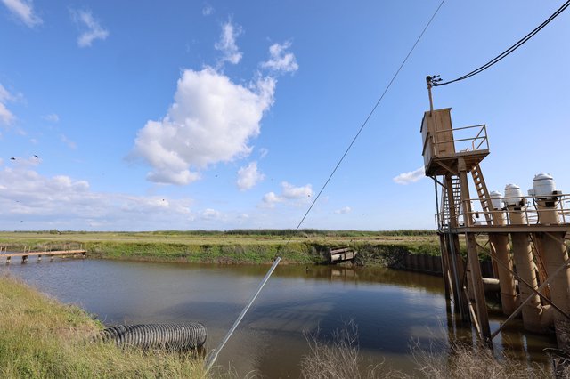Rustic Water Pumping Station in Wetland Preserve