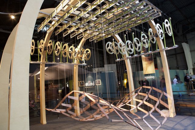 Rings of Plywood: A Wooden Wonder