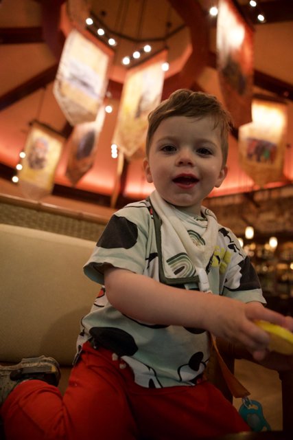 Dining Delights at Disney: Wesley's Adventure