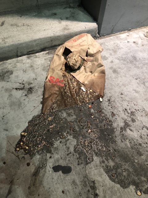 Discarded Bag