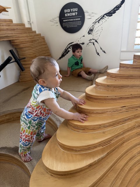 Steps to Discovery