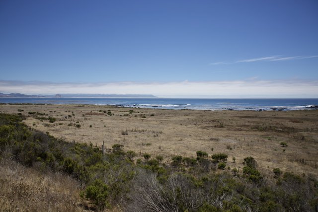 Embracing the Coastal Wilderness