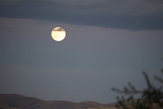 Lunar Elegance Over Walnut Creek