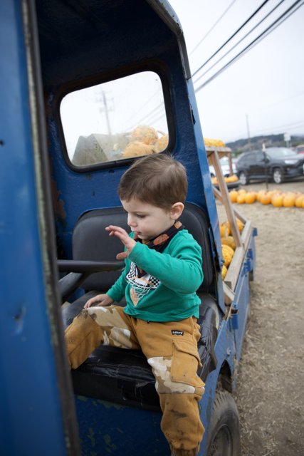 Pumpkin Patch Adventures