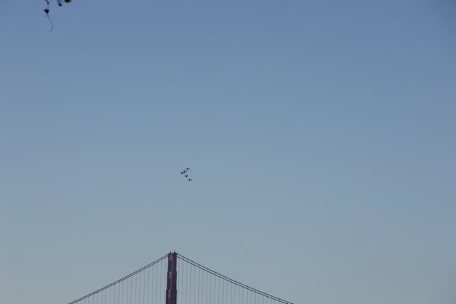 Majestic Flight over Golden Gate