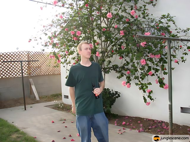 The Man and the Pink Tree