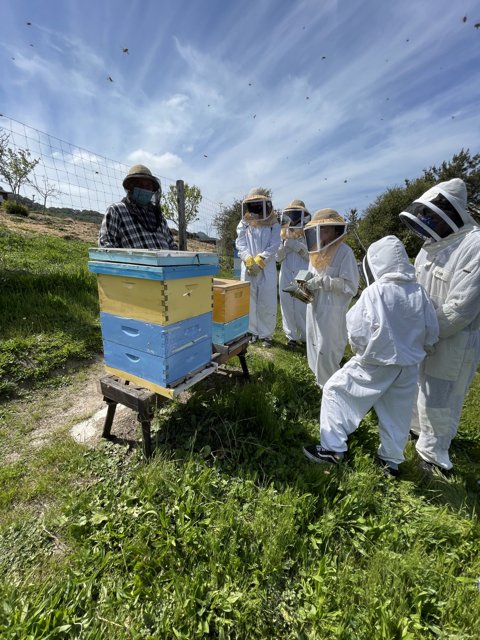 Beekeepers in Protective Suits at the Carmel Apiary