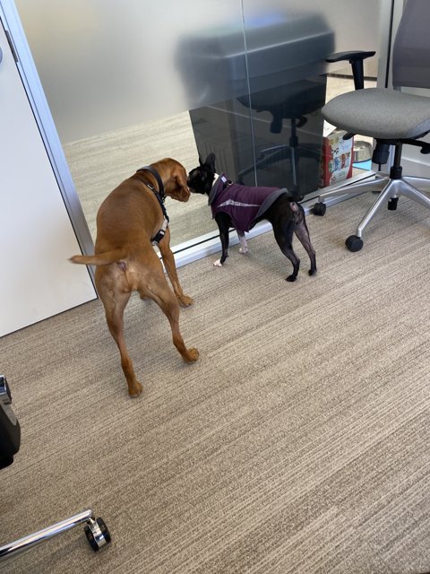 Playtime at the Office