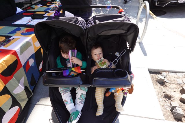 Little Explorers on a Sunny Day