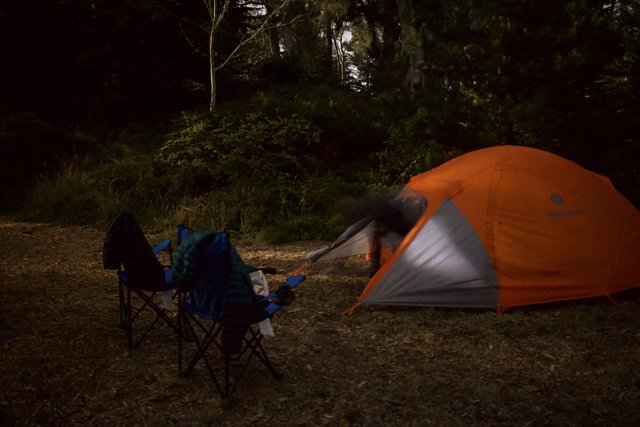 Embracing Wilderness: Camping in Presidio, 2023