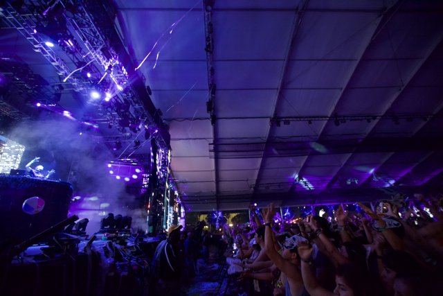 Purple Spotlight on Concert Crowd