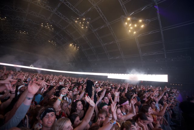 Coachella Concert Crowd Goes Wild