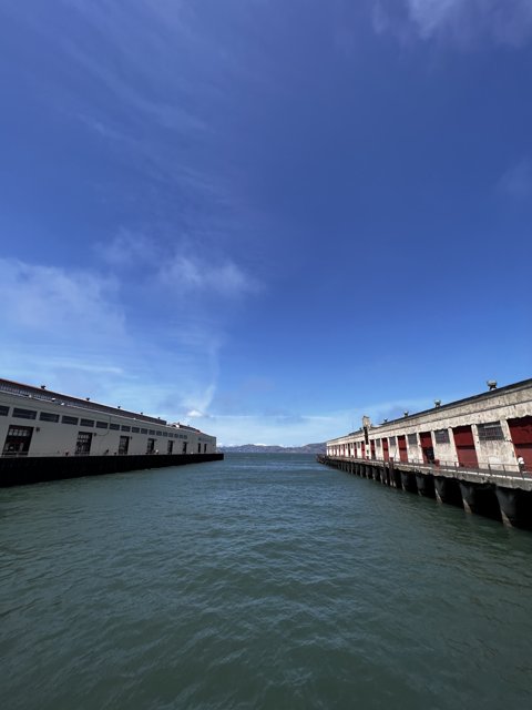 Serene San Francisco Bay