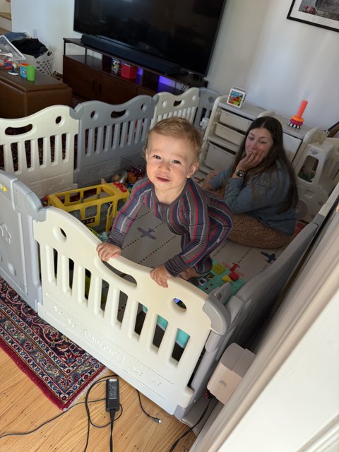 Joyful Playtime in the Living Room