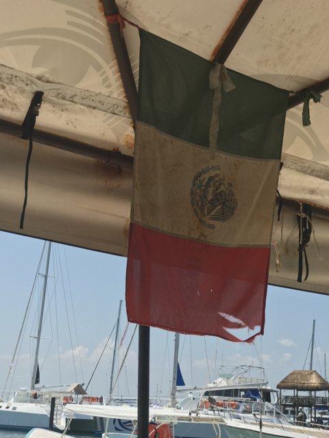 Mexican Flag Waves in the Water