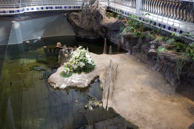 Memorial Turtle Habitat with Floral Tribute Display