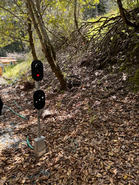 Contrasts of Tilden: Nature and Signals