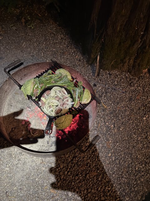 Campfire Culinary Delight