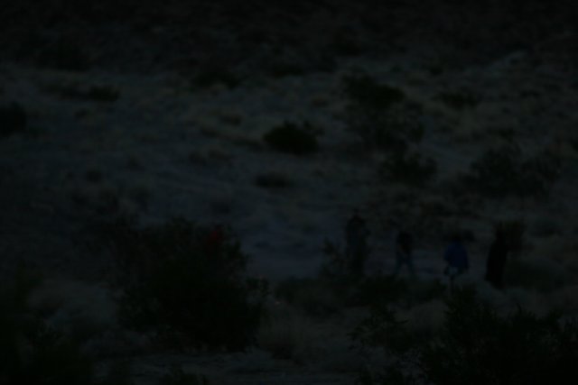 Night Hike in the Desert