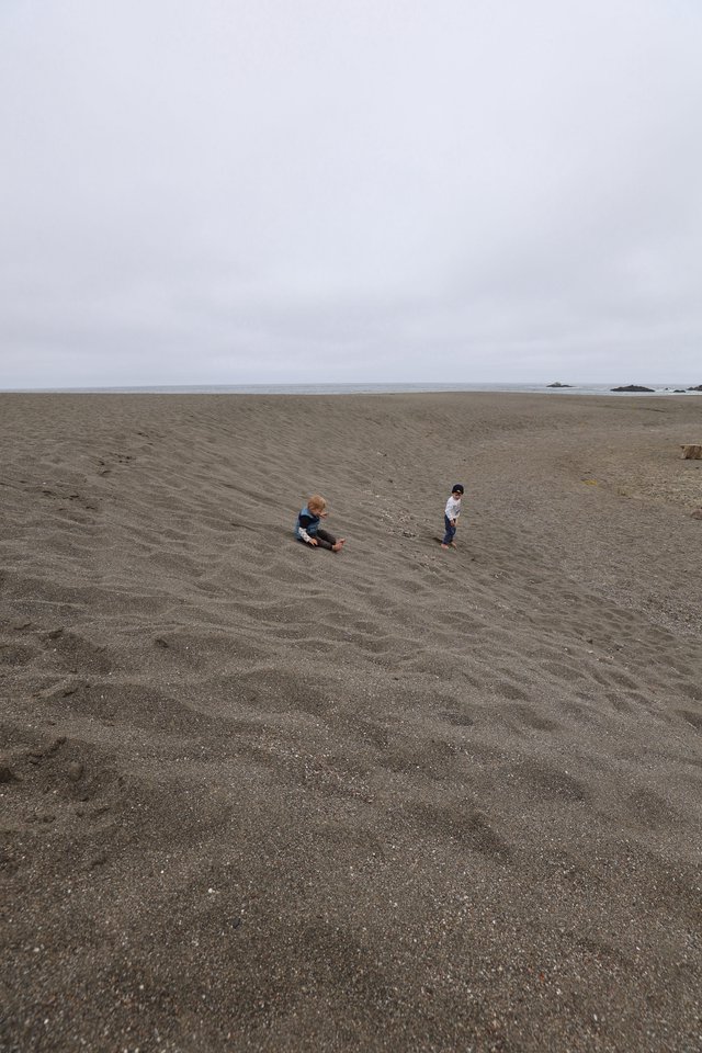 Two Children Playing on a Vast Gray Beach