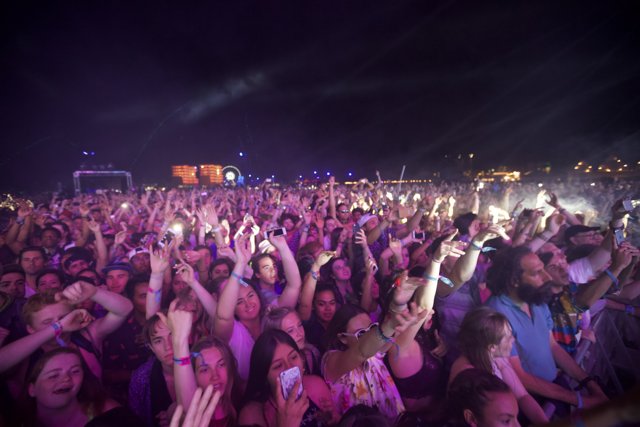 Ashley Everett among the Massive Crowd at Coachella 2016