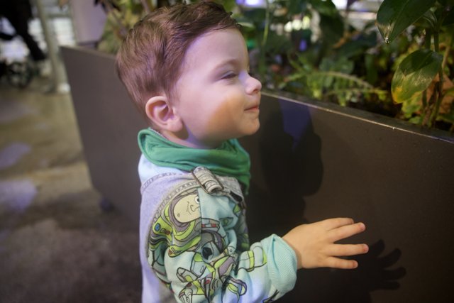 Engrossed in Green - A Young Boy's Fascination with Plants