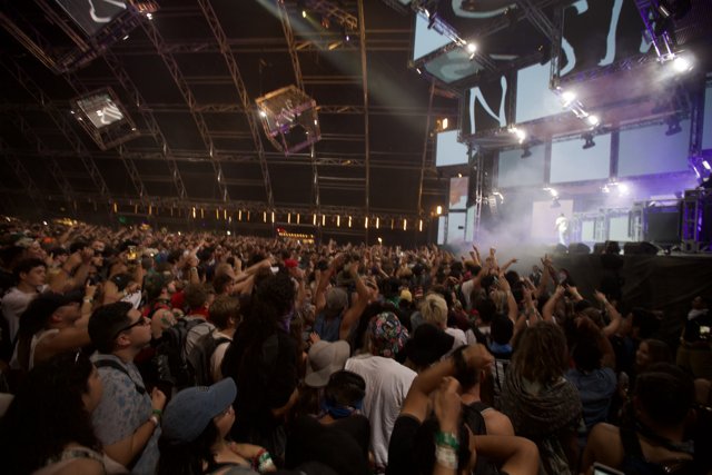 Electrifying Night: The Crowd at Coachella