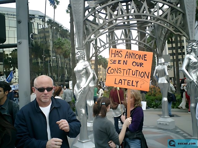 Another Constitution Sign