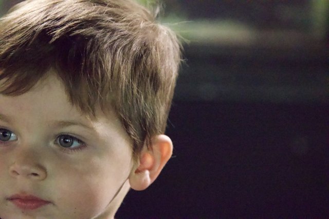 Innocence Captured