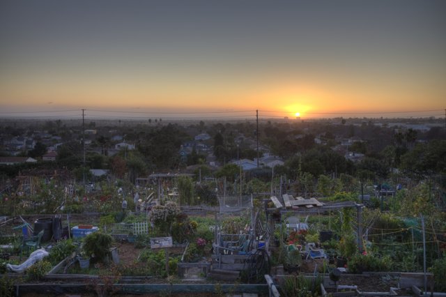 Rooftop View of a Stunning Sunset Garden
