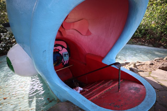 Inside the Mouth of a Giant Blue Whale Slide
